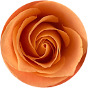 Merian Belksma profile picture